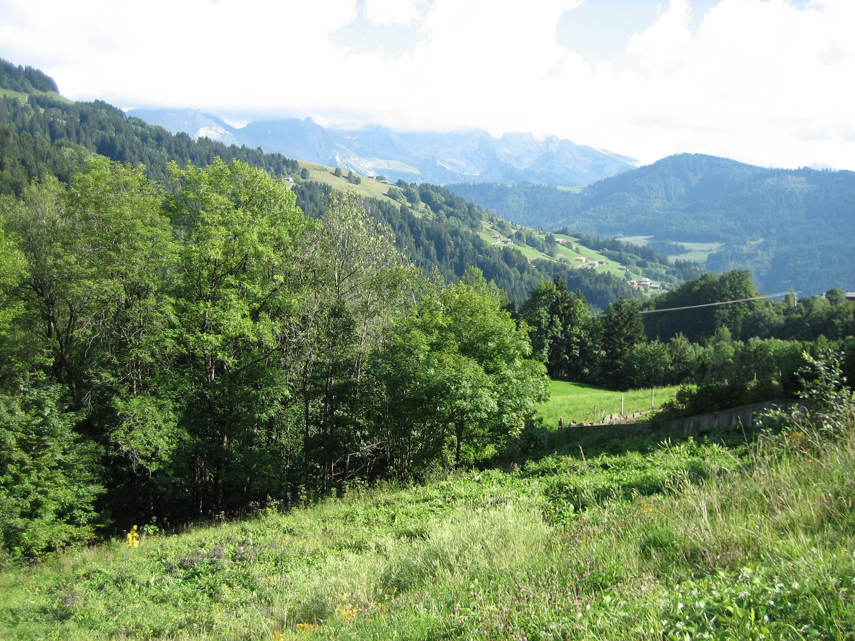 Vente Terrain à Le Grand-Bornand (74450) - Aravis Holidays Immobilier